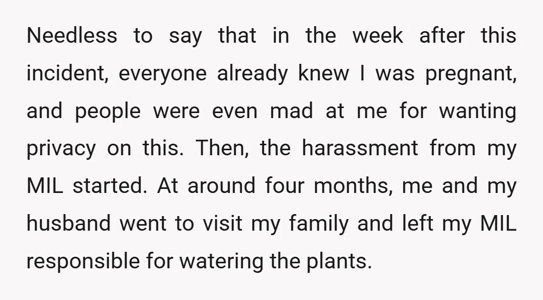 Needless to say that in the week after this incident, everyone already knew I was pregnant, and people were even mad at me for wanting privacy on this. Then, the...