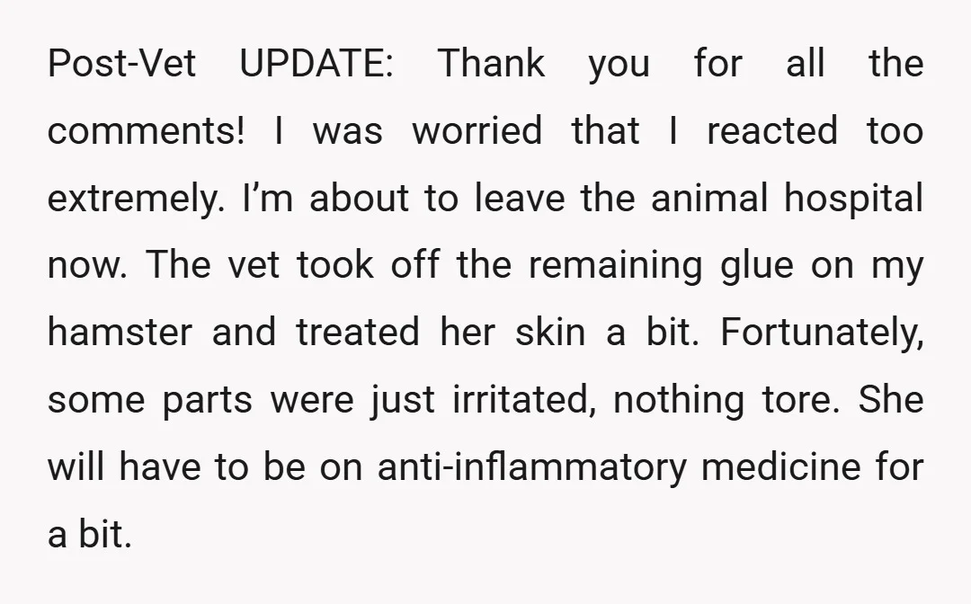 Post-Vet UPDATE: Thank you for all the comments! I was worried that I reacted too extremely. I’m about to leave the animal hospital now. The vet took off the remaining...