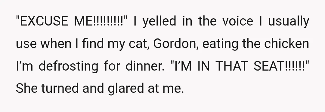 "EXCUSE ME!!!!!!!!!" I yelled in the voice I usually use when I find my cat, Gordon, eating the chicken I’m defrosting for dinner. "I’M IN THAT SEAT!!!!!!" She turned and...