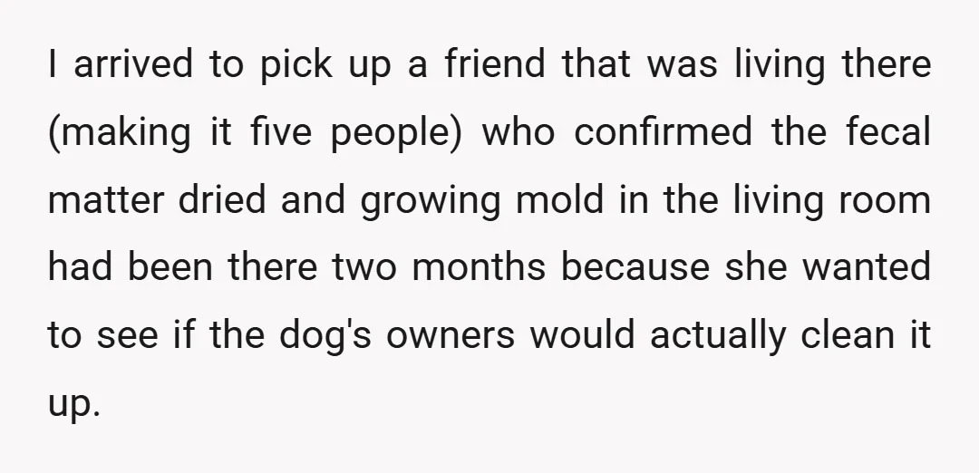 I arrived to pick up a friend that was living there (making it five people) who confirmed the fecal matter dried and growing mold in the living room had been...