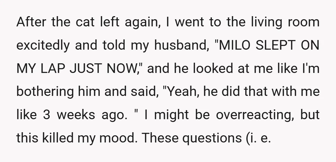 After the cat left again, I went to the living room excitedly and told my husband, "MILO SLEPT ON MY LAP JUST NOW," and he looked at me like I'm...