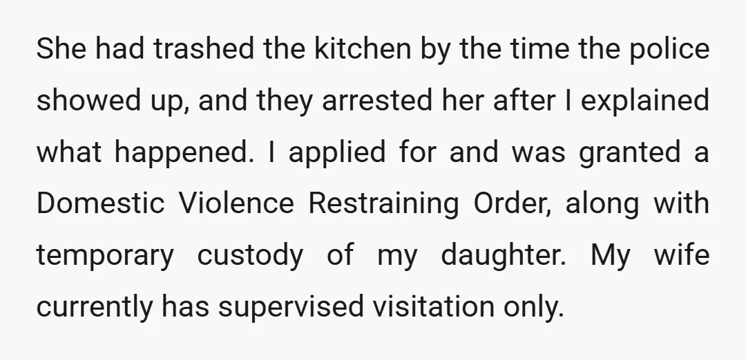 She had trashed the kitchen by the time the police showed up, and they arrested her after I explained what happened. I applied for and was granted a Domestic Violence...