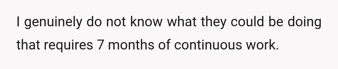 I genuinely do not know what they could be doing that requires 7 months of continuous work.