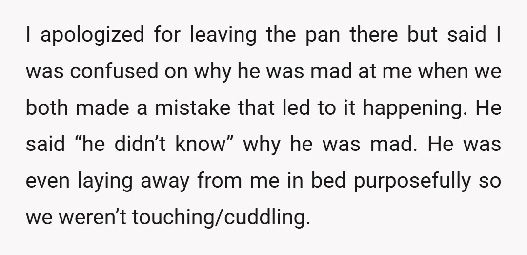 I apologized for leaving the pan there but said I was confused on why he was mad at me when we both made a mistake that led to it happening....