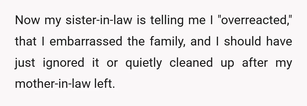 Now my sister-in-law is telling me I "overreacted," that I embarrassed the family, and I should have just ignored it or quietly cleaned up after my mother-in-law left.