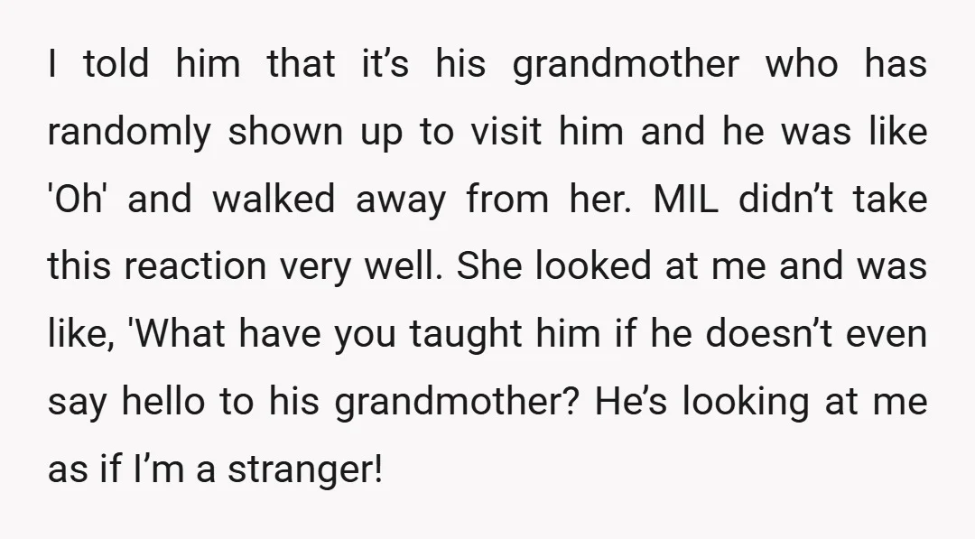 I told him that it’s his grandmother who has randomly shown up to visit him and he was like 'Oh' and walked away from her. MIL didn’t take this reaction...