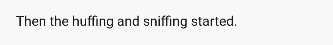 Then the huffing and sniffing started.