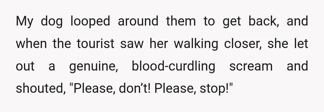 My dog looped around them to get back, and when the tourist saw her walking closer, she let out a genuine, blood-curdling scream and shouted, "Please, don’t! Please, stop!"