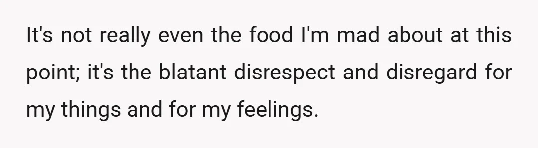 It's not really even the food I'm mad about at this point; it's the blatant disrespect and disregard for my things and for my feelings.