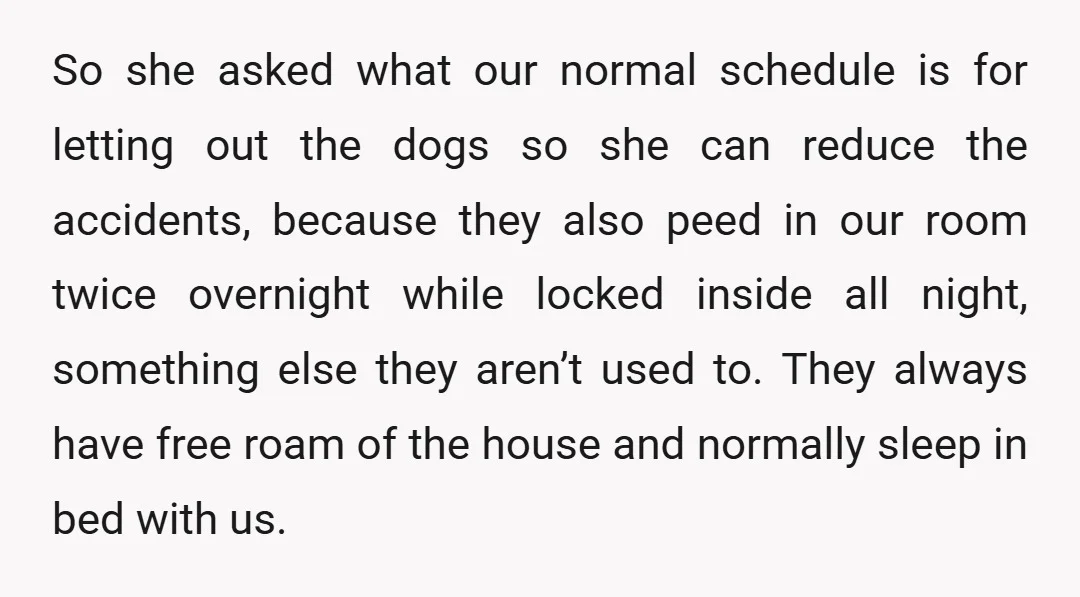 So she asked what our normal schedule is for letting out the dogs so she can reduce the accidents, because they also peed in our room twice overnight while locked...