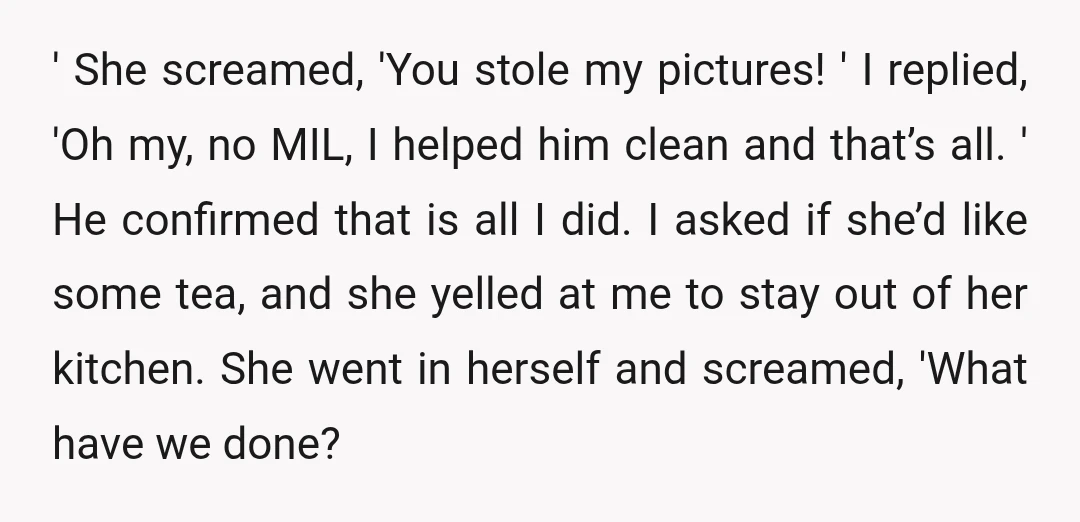 ' She screamed, 'You stole my pictures! ' I replied, 'Oh my, no MIL, I helped him clean and that’s all. ' He confirmed that is all I did. I...