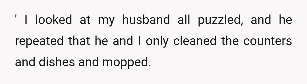 ' I looked at my husband all puzzled, and he repeated that he and I only cleaned the counters and dishes and mopped.