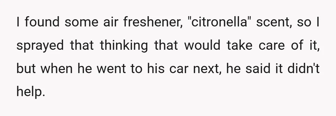 I found some air freshener, "citronella" scent, so I sprayed that thinking that would take care of it, but when he went to his car next, he said it didn't...