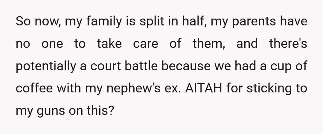So now, my family is split in half, my parents have no one to take care of them, and there's potentially a court battle because we had a cup of...