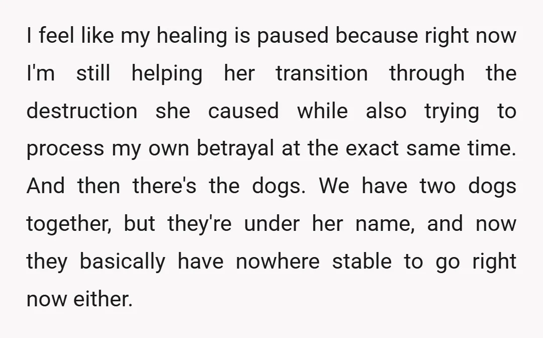 I feel like my healing is paused because right now I'm still helping her transition through the destruction she caused while also trying to process my own betrayal at the...