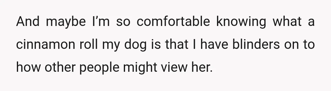 And maybe I’m so comfortable knowing what a cinnamon roll my dog is that I have blinders on to how other people might view her.