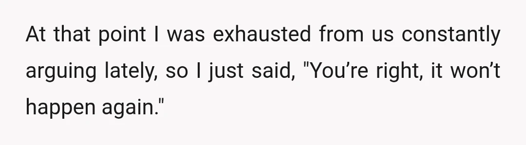 At that point I was exhausted from us constantly arguing lately, so I just said, "You’re right, it won’t happen again."