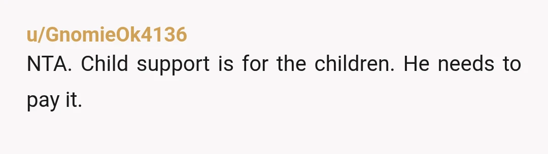 u/GnomieOk4136
NTA. Child support is for the children. He needs to pay it.