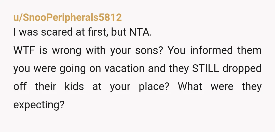 u/SnooPeripherals5812 I was scared at first, but NTA. WTF is wrong with your sons? You informed them you were going on vacation and they STILL dropped off their kids at...