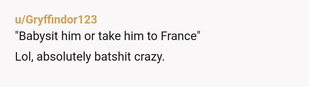 u/Gryffindor123
"Babysit him or take him to France"
Lol, absolutely batshit crazy.
