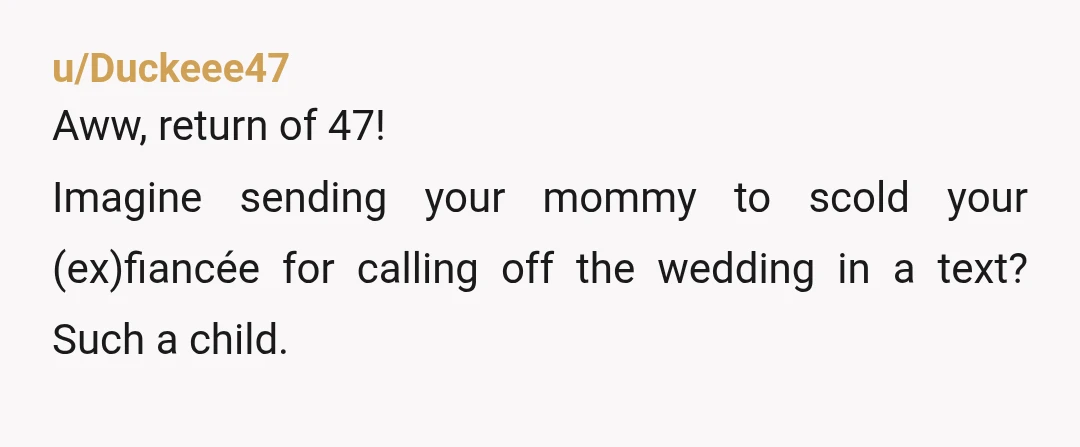 u/Duckeee47
Aww, return of 47!
Imagine sending your mommy to scold your (ex)fiancée for calling off the wedding in a text? Such a child.