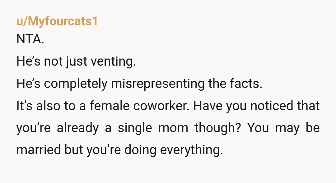 u/Myfourcats1 NTA. He’s not just venting. He’s completely misrepresenting the facts. It’s also to a female coworker. Have you noticed that you’re already a single mom though? You may be...