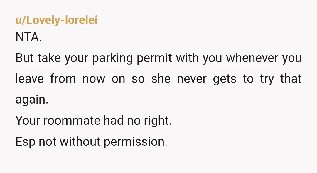 u/Lovely-lorelei NTA. But take your parking permit with you whenever you leave from now on so she never gets to try that again. Your roommate had no right. Esp not...