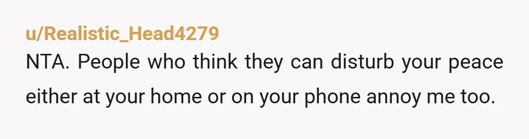 u/Realistic_Head4279
NTA. People who think they can disturb your peace either at your home or on your phone annoy me too.