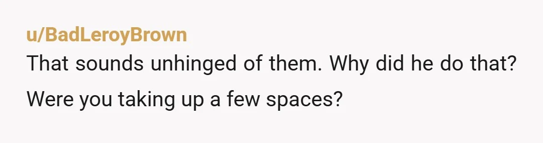 u/BadLeroyBrown
That sounds unhinged of them. Why did he do that? Were you taking up a few spaces?