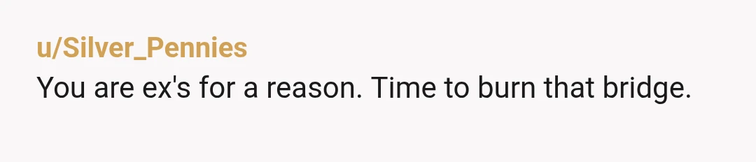 u/Silver_Pennies
You are ex's for a reason.  Time to burn that bridge.