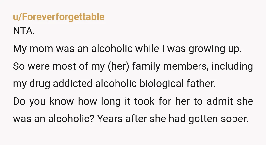 u/Foreverforgettable NTA. My mom was an alcoholic while I was growing up. So were most of my (her) family members, including my drug addicted alcoholic biological father. Do you know...