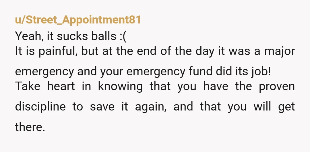 u/Street_Appointment81 Yeah, it sucks balls :( It is painful, but at the end of the day it was a major emergency and your emergency fund did its job! Take heart...