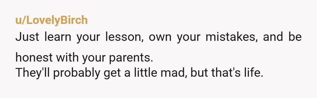 u/LovelyBirch
Just learn your lesson, own your mistakes, and be honest with your parents.Â
They'll probably get a little mad, but that's life.