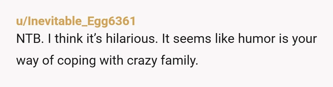 u/Inevitable_Egg6361
NTB. I think it’s hilarious. It seems like humor is your way of coping with crazy family.