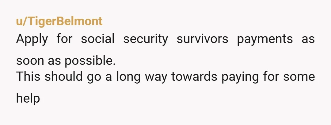 u/TigerBelmont
Apply for social security survivors payments as soon as possible.
This should go a long way towards paying for some help