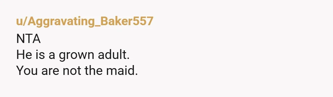 u/Aggravating_Baker557 NTA He is a grown adult. You are not the maid.