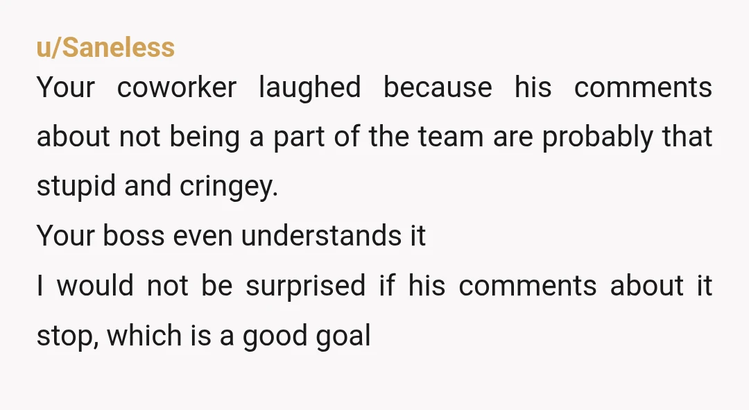 u/Saneless Your coworker laughed because his comments about not being a part of the team are probably that stupid and cringey. Your boss even understands it I would not be...