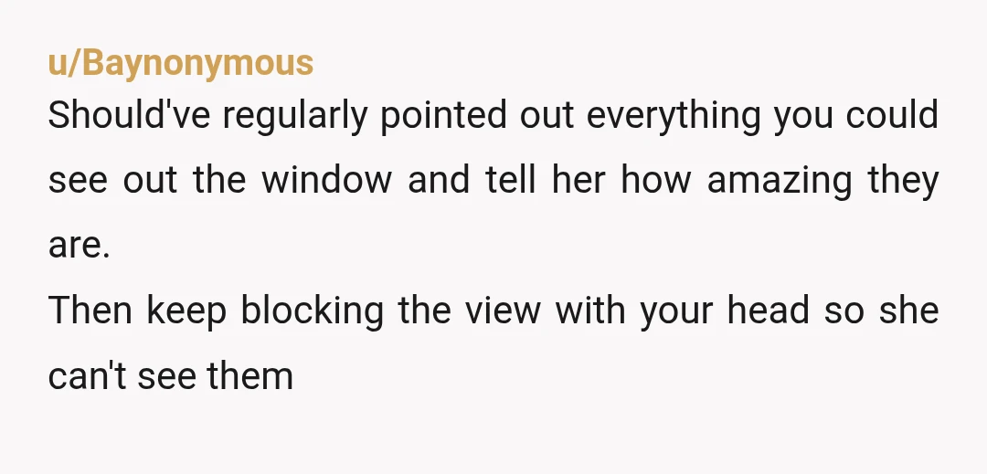 u/Baynonymous Should've regularly pointed out everything you could see out the window and tell her how amazing they are. Then keep blocking the view with your head so she can't...