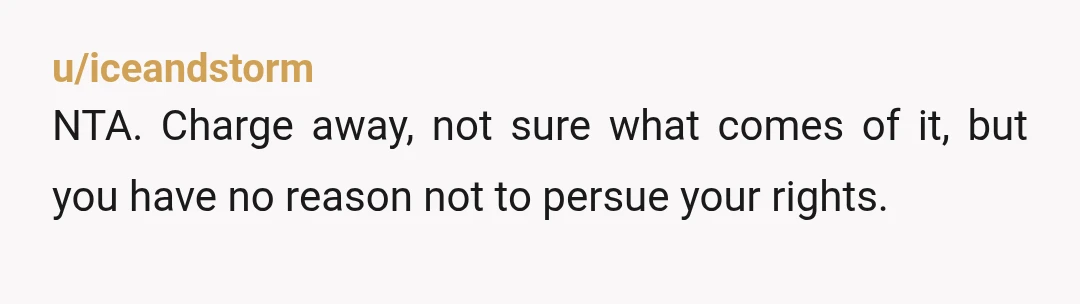 u/iceandstorm NTA. Charge away, not sure what comes of it, but you have no reason not to persue your rights.