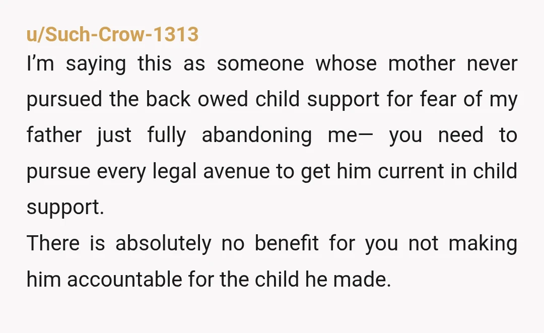u/Such-Crow-1313 I’m saying this as someone whose mother never pursued the back owed child support for fear of my father just fully abandoning me— you need to pursue every legal...