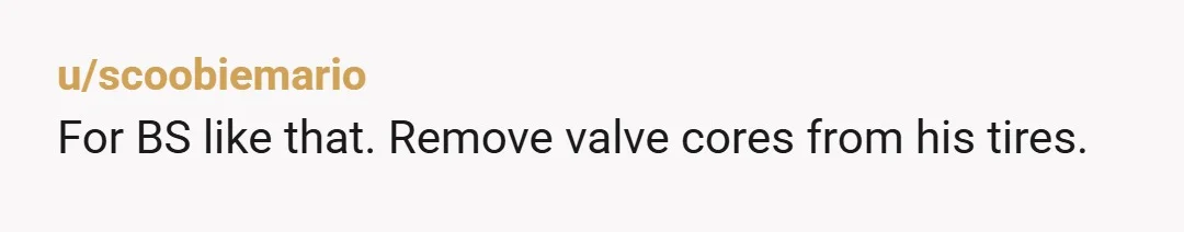 u/scoobiemario
For BS like that. Remove valve cores from his tires.