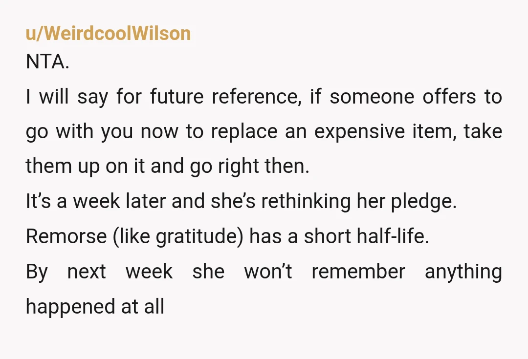 u/WeirdcoolWilson NTA. I will say for future reference, if someone offers to go with you now to replace an expensive item, take them up on it and go right then....