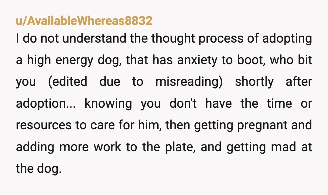 u/AvailableWhereas8832 I do not understand the thought process of adopting a high energy dog, that has anxiety to boot, who bit you (edited due to misreading) shortly after adoption... knowing...