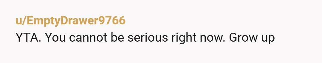 u/EmptyDrawer9766
YTA. You cannot be serious right now. Grow up