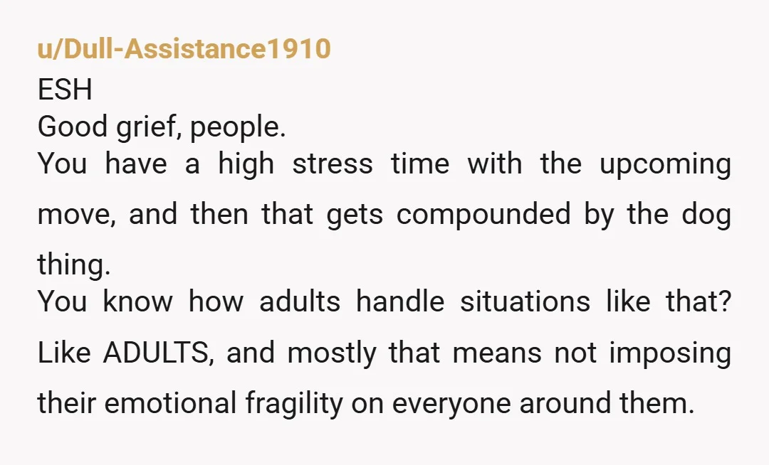 u/Dull-Assistance1910 ESH Good grief, people. You have a high stress time with the upcoming move, and then that gets compounded by the dog thing. You know how adults handle situations...