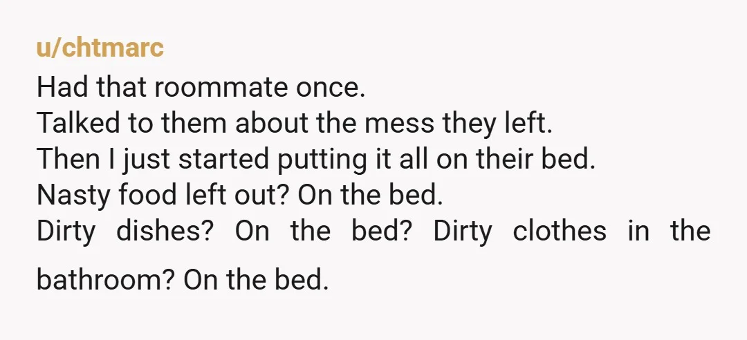 u/chtmarc Had that roommate once. Talked to them about the mess they left. Then I just started putting it all on their bed. Nasty food left out? On the bed....