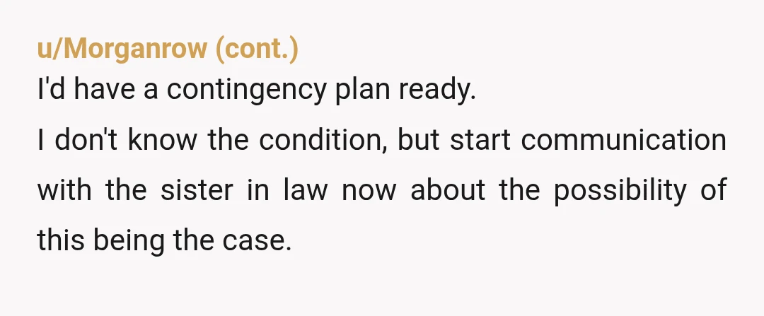 u/PDK112 NTA. Tell your MIL if she does not change the dates and puts SIL on that plane while you are out of town that you will report her to...