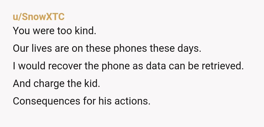 u/SnowXTC You were too kind. Our lives are on these phones these days. I would recover the phone as data can be retrieved. And charge the kid. Consequences for his...