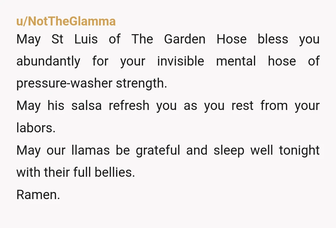 u/NotTheGlamma May St Luis of The Garden Hose bless you abundantly for your invisible mental hose of pressure-washer strength. May his salsa refresh you as you rest from your labors....