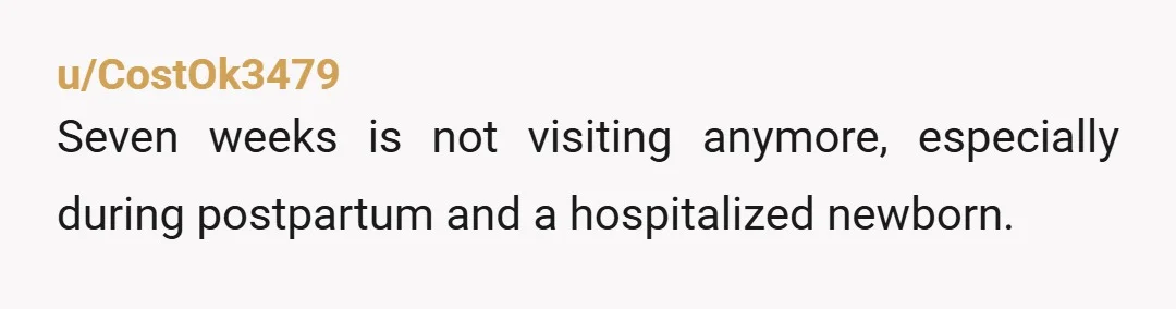 u/CostOk3479
Seven weeks is not visiting anymore, especially during postpartum and a hospitalized newborn.